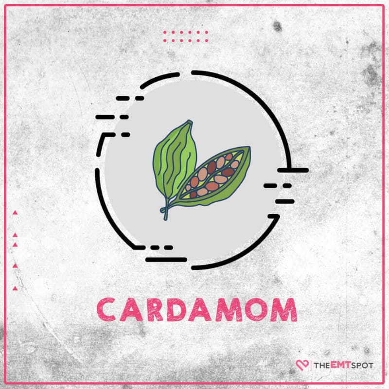 Cardamom