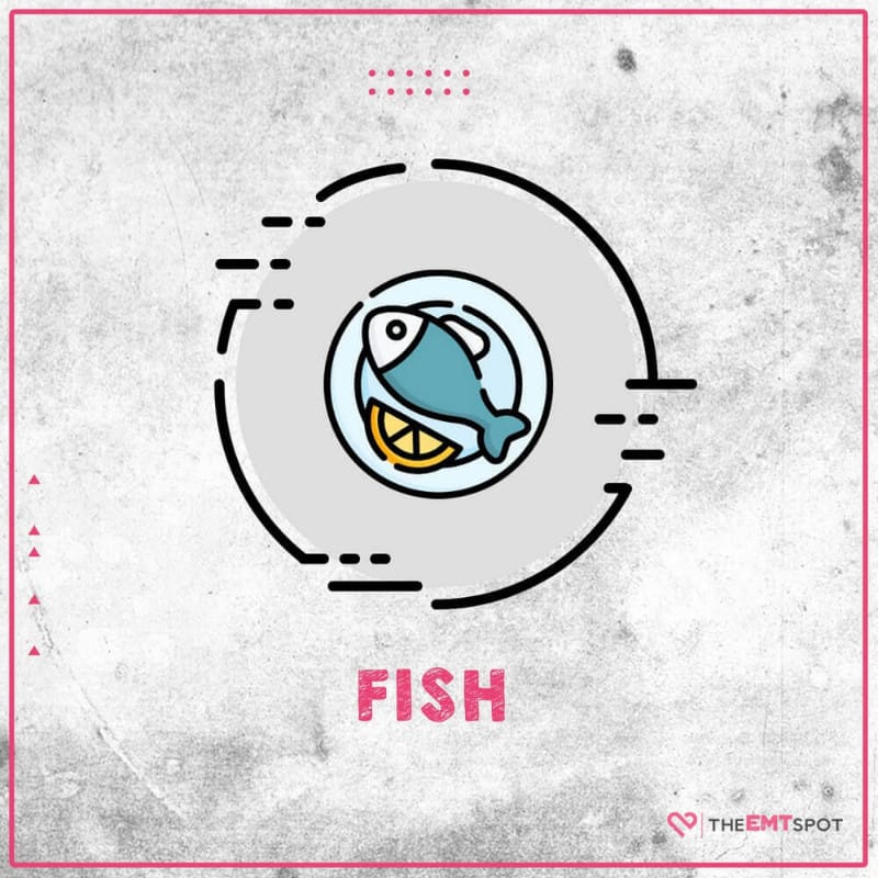 Fish 