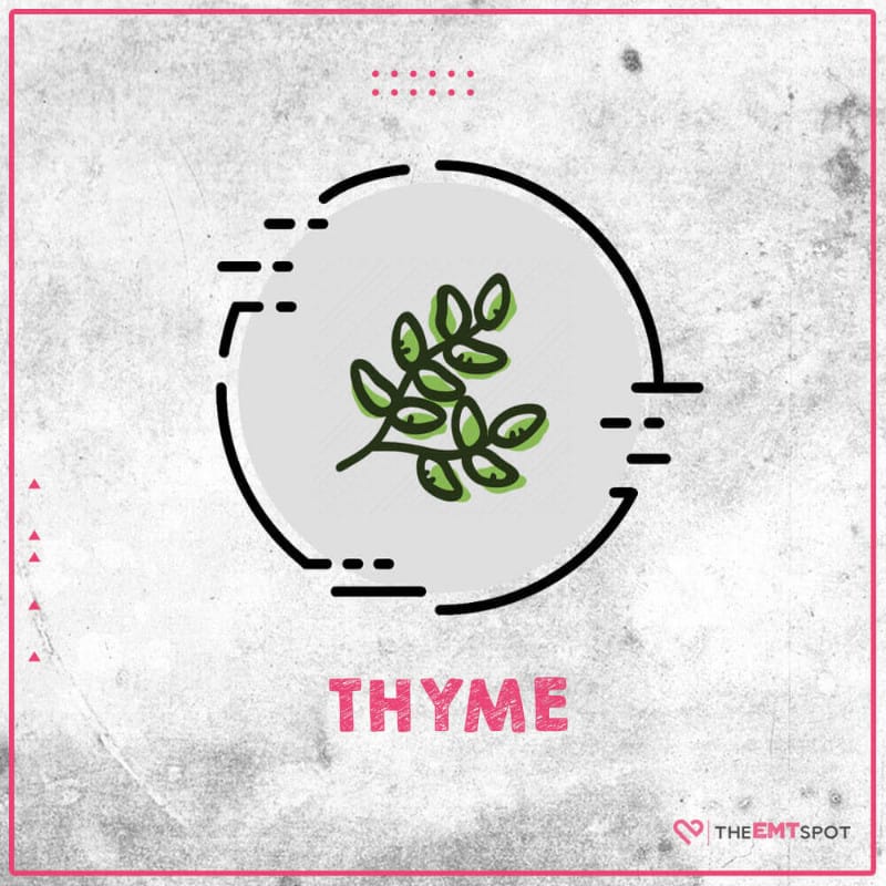 thyme