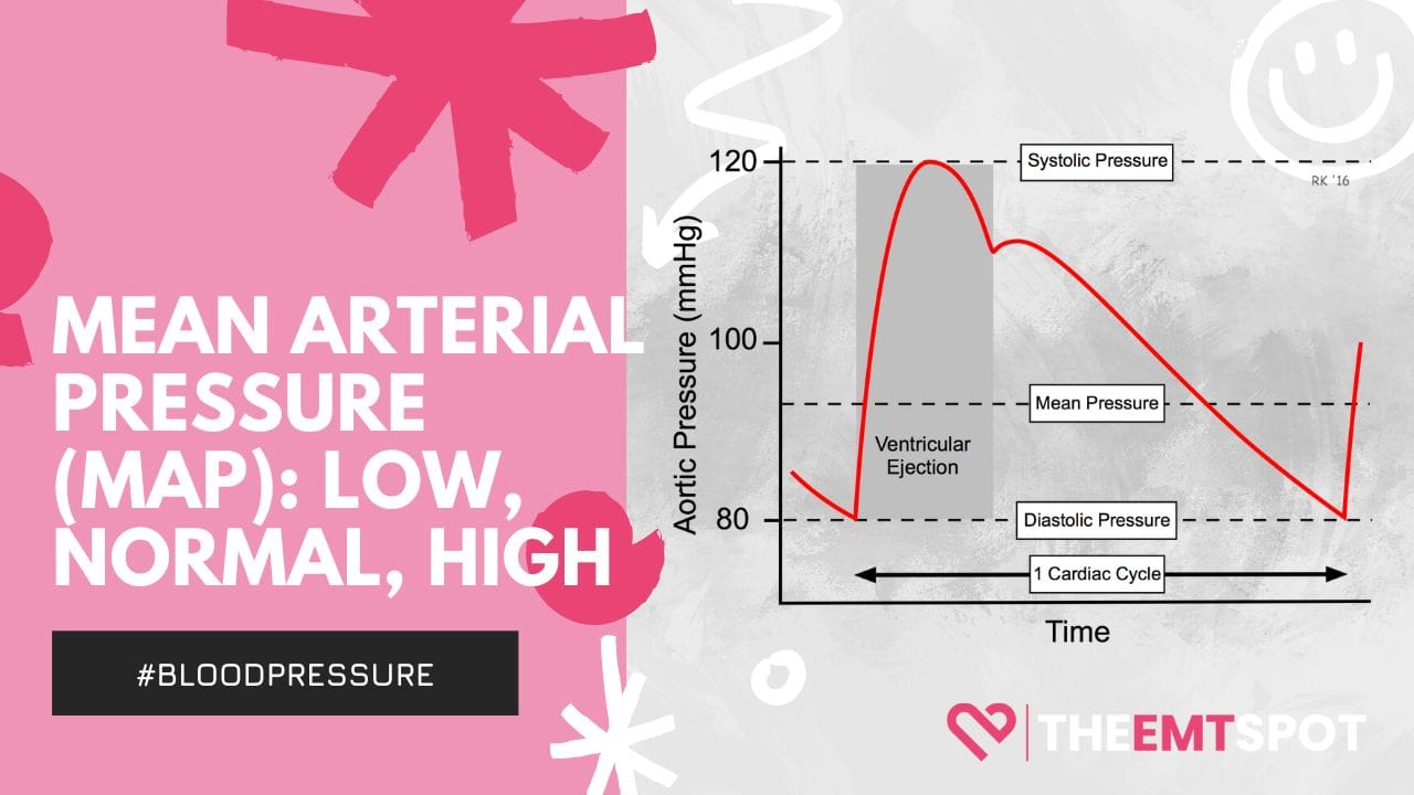 Mean Arterial Pressure (MAP) - TheEMTspot Health