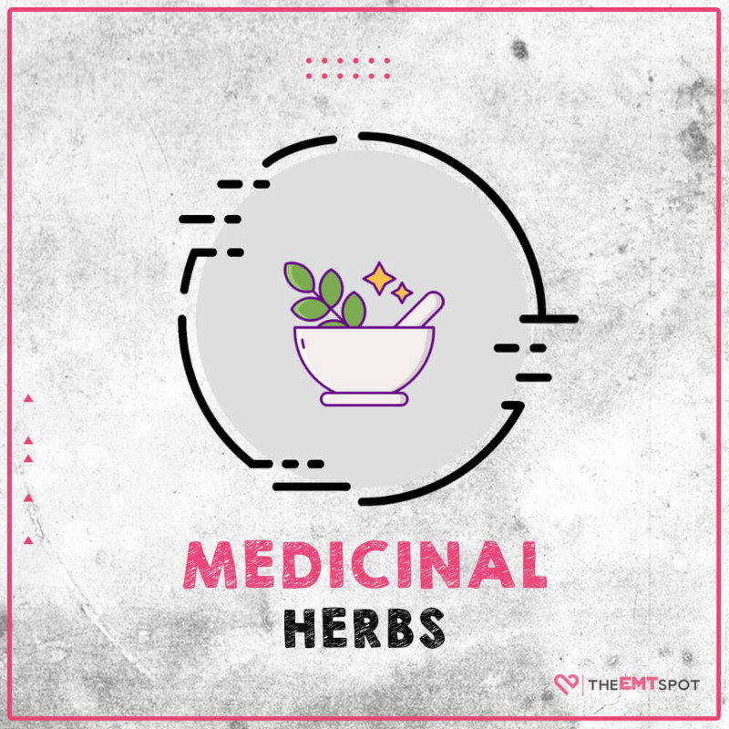 medicinal herbs
