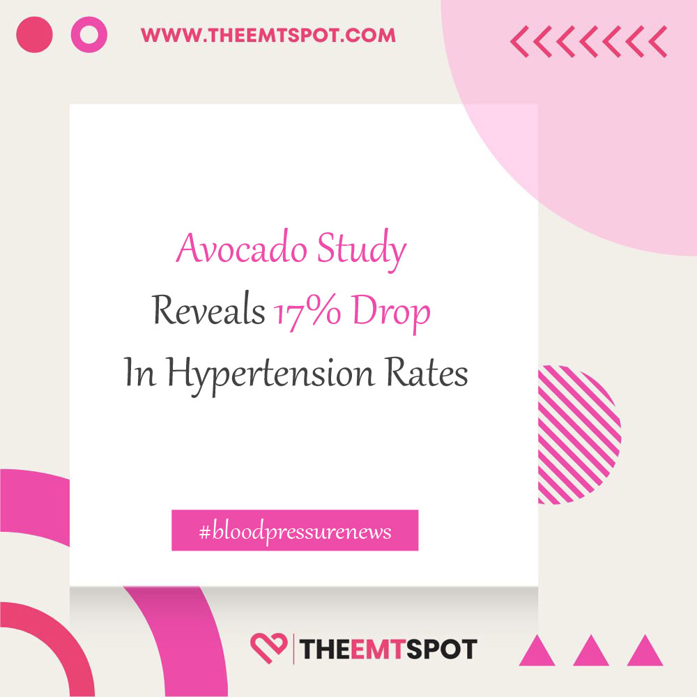 avocado hypertension