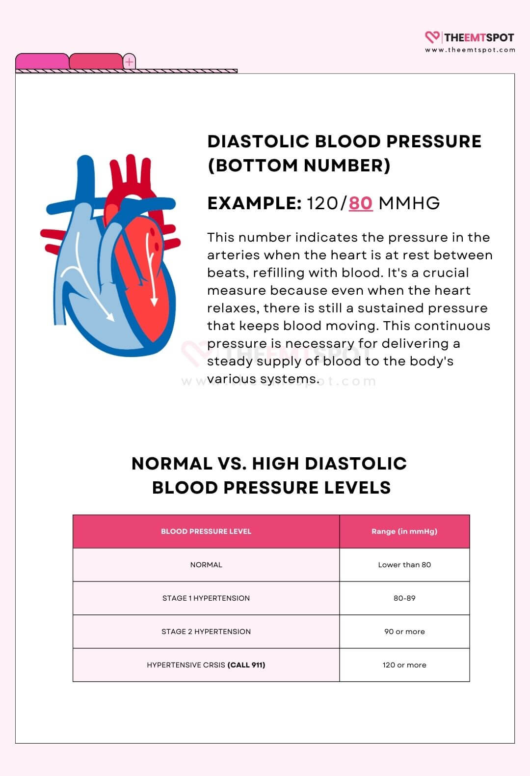 Systolic vs. Diastolic Blood Pressure