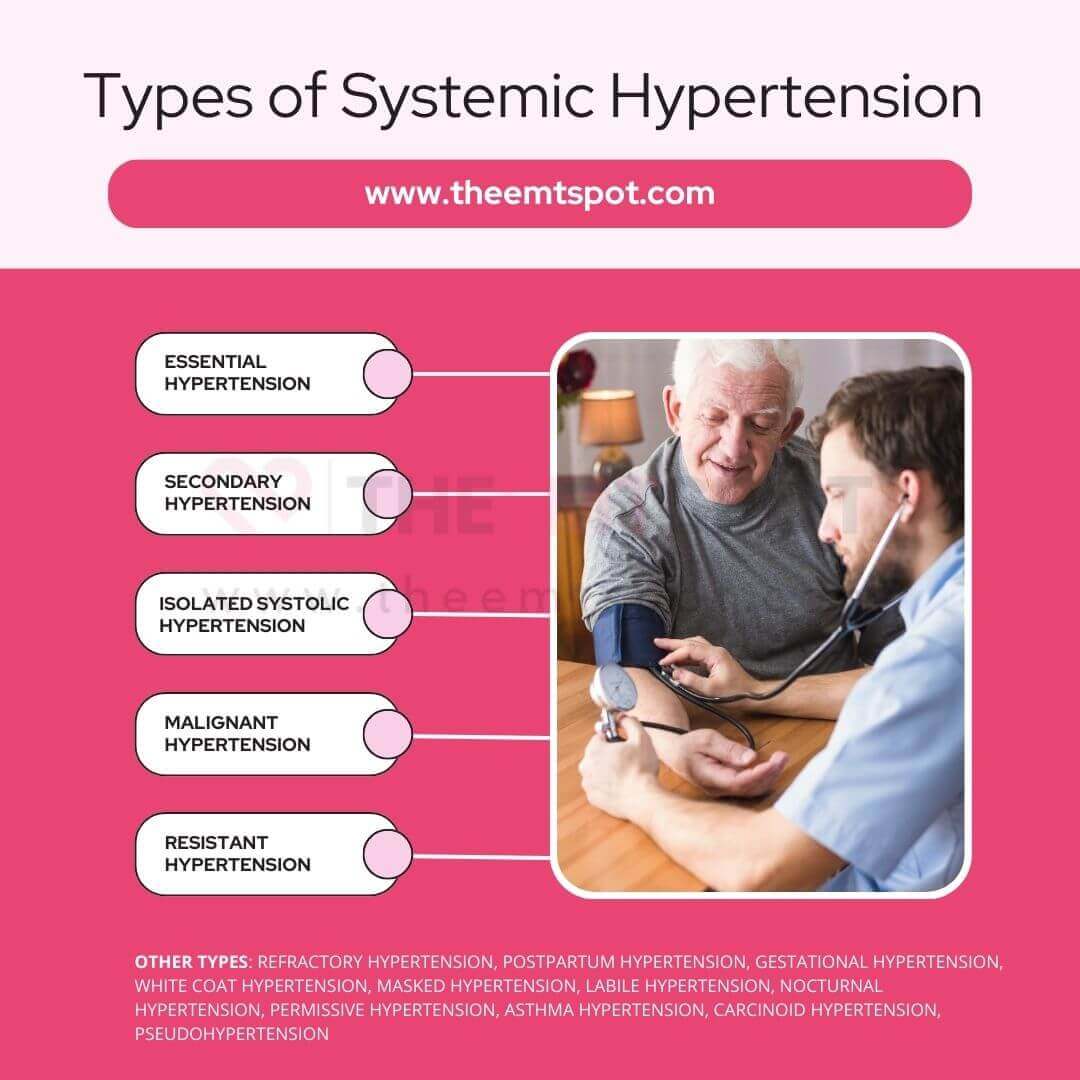 systemic hypertesnion types