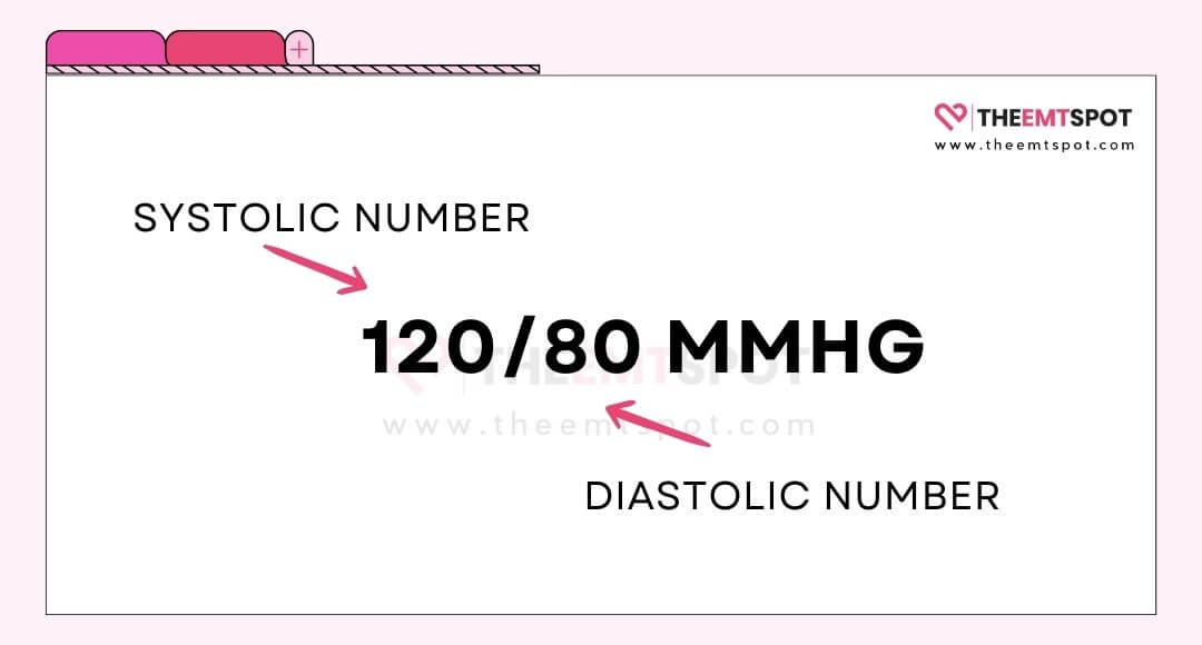 systolic and diastolic number