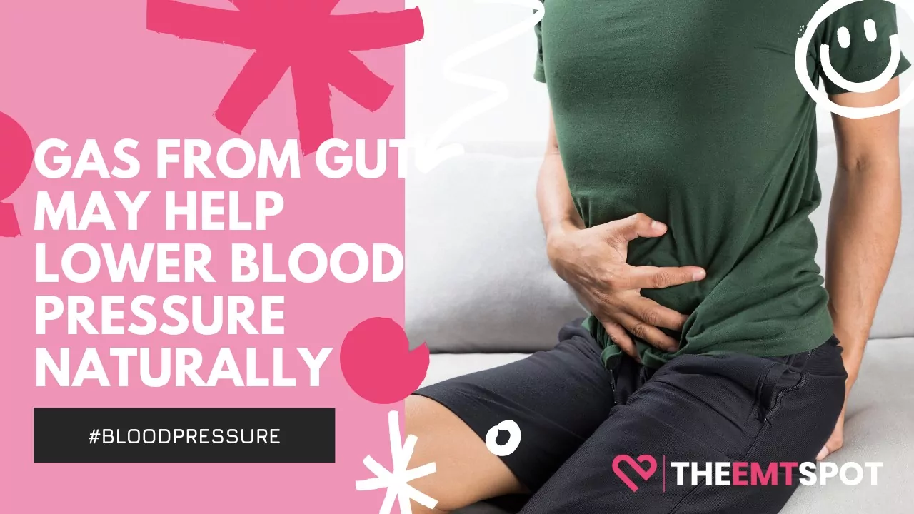 blood pressure and gut gases