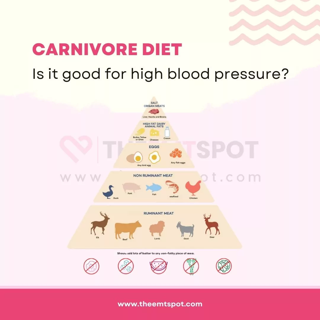 carnivore diet blood pressure